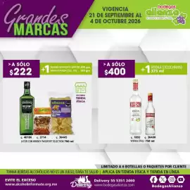 Folleto Bodegas Alianza Página 13