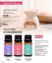 Catálogo Bagués Página 20