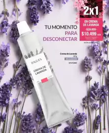 Catálogo Bagués Página 49