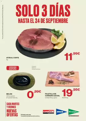 El Corte Inglés (válido hasta el 24-09)