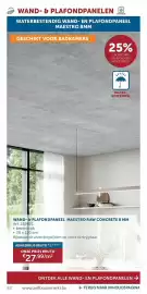 Zelfbouwmarkt folder Pagina 83: Wand- & plafondpaneel maestro raw concrete 8 mm €27,99