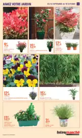 Catalogue Intermarché Hyper | Aimez votre jardin page 5: NANDINA DOMESTICA €12,99, Graines Herbe à chat €3,99