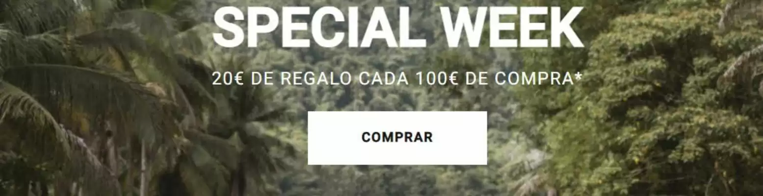 Billabong (válido hasta el 4-10)