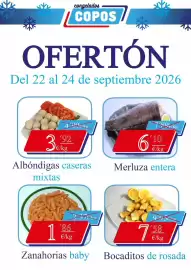 Catálogo Congelados Copos Página 1: Merluza entera €6,10, Zanahorias baby €11,86
