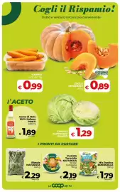 Volantino Coop Radenza Pagina 16: Bietole Naturizia €2,29, Mix Rustico Bonduelle €1,79