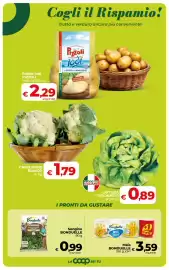 Volantino Coop Radenza Pagina 17: Songino Bonduelle €0,99, Mais Bonduelle €3,59