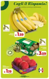 Volantino Coop Radenza Pagina 18: Kiwi Green Zespri €3,59, Banane CHIQUITA €1,59