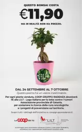 Volantino Coop Radenza Pagina 42: Bonsai Verde Speranza €11,90