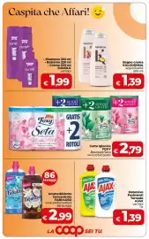 Volantino Coop Radenza Pagina 5: Sunsilk vari tipi €1,99, Ammorbidente Concentrato Fabuloso €2,99