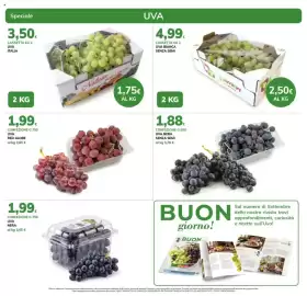 Volantino Basko Pagina 3: Uva bianca senza semi €2,50, Uva Natura €1,75