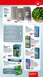Zookauf Prospekt woche 39 Seite 11