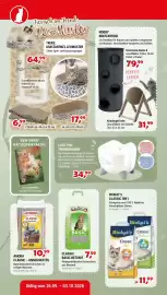 Zookauf Prospekt woche 39 Seite 8