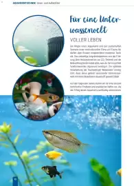 Zookauf Prospekt Seite 12