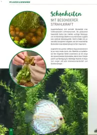 Zookauf Prospekt Seite 28