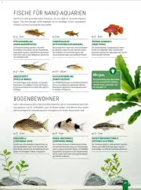 Zookauf Prospekt Seite 29