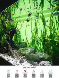 Zookauf Prospekt Seite 3