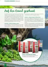 Zookauf Prospekt Seite 34