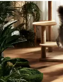 Zookauf Prospekt Seite 10