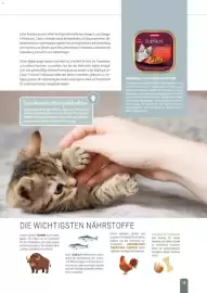 Zookauf Prospekt Seite 13