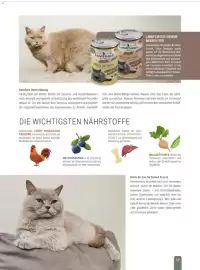 Zookauf Prospekt Seite 17