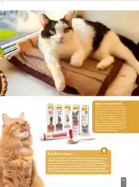 Zookauf Prospekt Seite 23