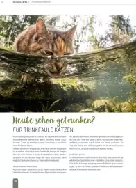 Zookauf Prospekt Seite 26