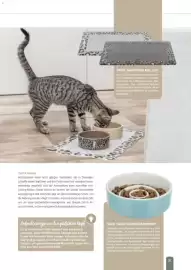 Zookauf Prospekt Seite 31