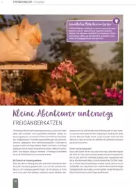 Zookauf Prospekt Seite 38
