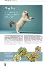 Zookauf Prospekt Seite 42
