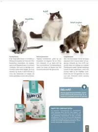 Zookauf Prospekt Seite 51