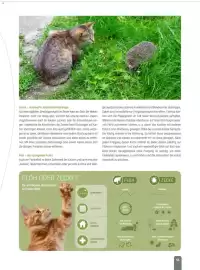 Zookauf Prospekt Seite 55