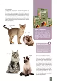 Zookauf Prospekt Seite 7
