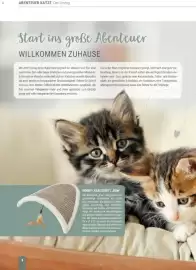 Zookauf Prospekt Seite 8