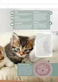 Zookauf Prospekt Seite 9