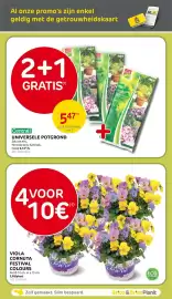 Brico folder Pagina 39: Viola cornuta festival colours €10,00, Universale potgrond €5,47