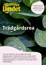 Blomsterlandet reklamblad Sida 1