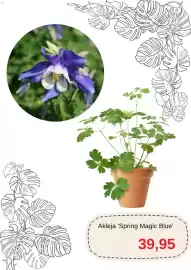 Blomsterlandet reklamblad Sida 2