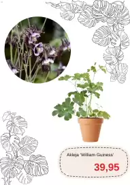 Blomsterlandet reklamblad Sida 3