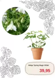 Blomsterlandet reklamblad Sida 4