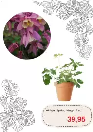 Blomsterlandet reklamblad Sida 5