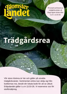 Blomsterlandet (giltig till och med 11-10)