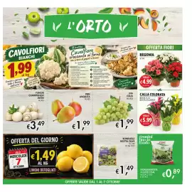Volantino Maxi Coal Pagina 11: Begonia €4,99, Calla colorata €5,99