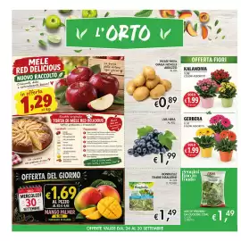 Volantino Coal Pagina 8: Kalandiva €1,99, Gerbera €1,99