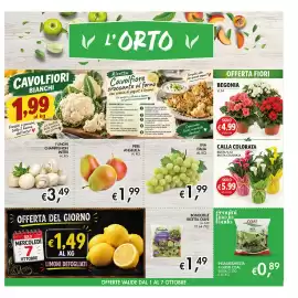 Volantino Coal Pagina 9: Begonia V.14 €4,99, Calla colorata €5,99