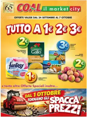 Volantino Superstore Coal