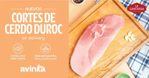 Catálogo Avinka Página 1