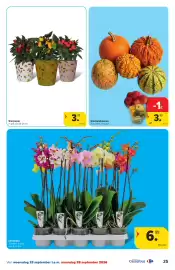 Hyper Carrefour folder Pagina 25