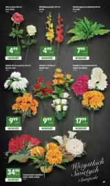 Delikatesy Centrum gazetka tydzień 39 Strona 39: Gladiola gałązka 70 cm €4,99, Róża promo €4,99