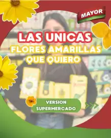 Catálogo Supermercados Mayor Página 1