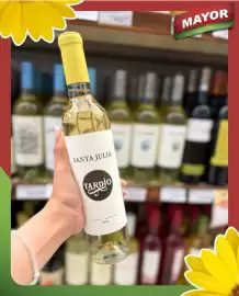 Catálogo Supermercados Mayor Página 8